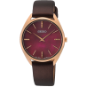 SWR082P1