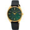 SWR080P1